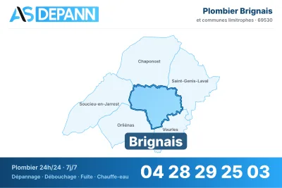 Miniature carte Brignais