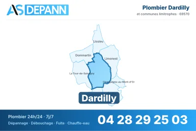 Miniature carte Dardilly