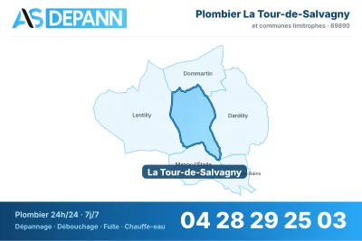 Miniature carte La Tour-de-Salvagny