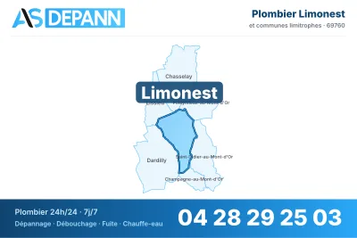 Miniature carte Limonest