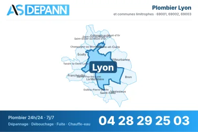 Miniature carte Lyon