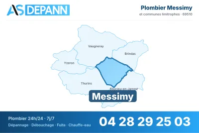 Miniature carte Messimy