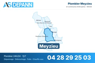 Miniature carte Meyzieu