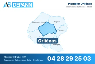 Miniature carte Orliénas