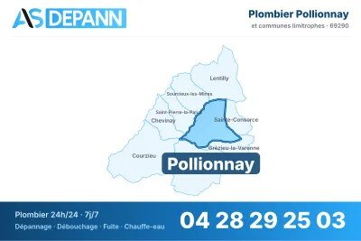 Miniature carte Pollionnay
