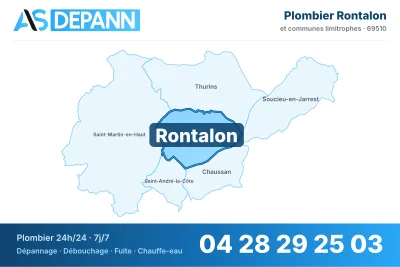 Miniature carte Rontalon
