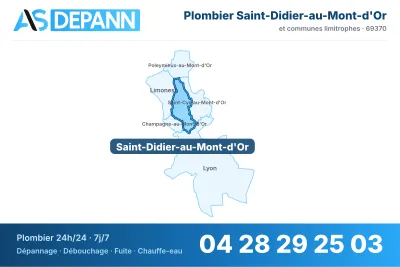Vignette de la carte de Saint-Didier-au-Mont-d'Or desservie par AS Depann