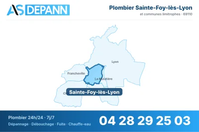 Miniature carte Sainte-Foy-lès-Lyon