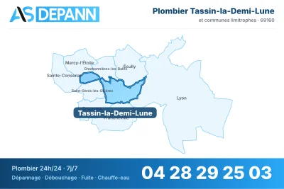 Miniature carte Tassin-la-Demi-Lune