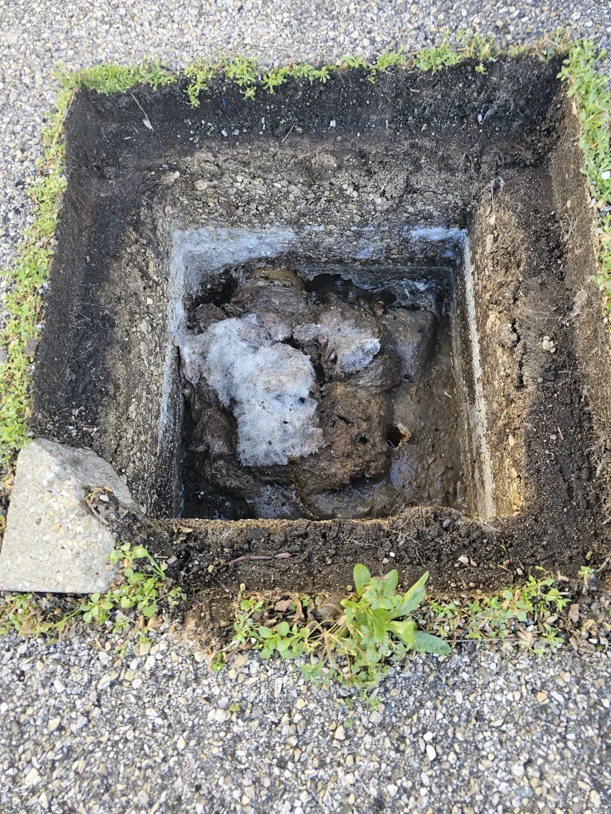 Regard enterré ouvert avec bouchon de graisse et déchets solidifiés, réseau extérieur de maison comme il s'en trouve sur les coteaux de Grigny, curé par AS Depann